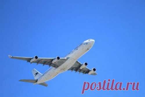 10 шокирующих фактов, в которые очень трудно поверить