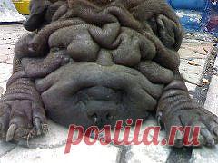 трагически погибла