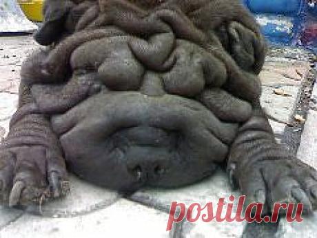 трагически погибла