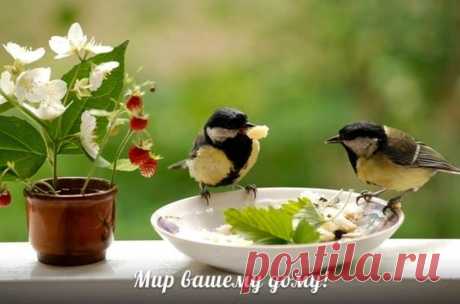 (34) ГРУППА ДОБРЫХ, ПОЗИТИВНЫХ И СОЛНЕЧНЫХ ЛЮДЕЙ :))))))