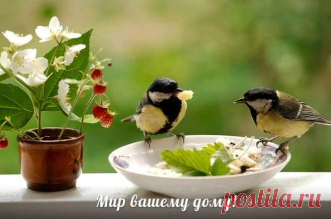 (34) ГРУППА ДОБРЫХ, ПОЗИТИВНЫХ И СОЛНЕЧНЫХ ЛЮДЕЙ :))))))