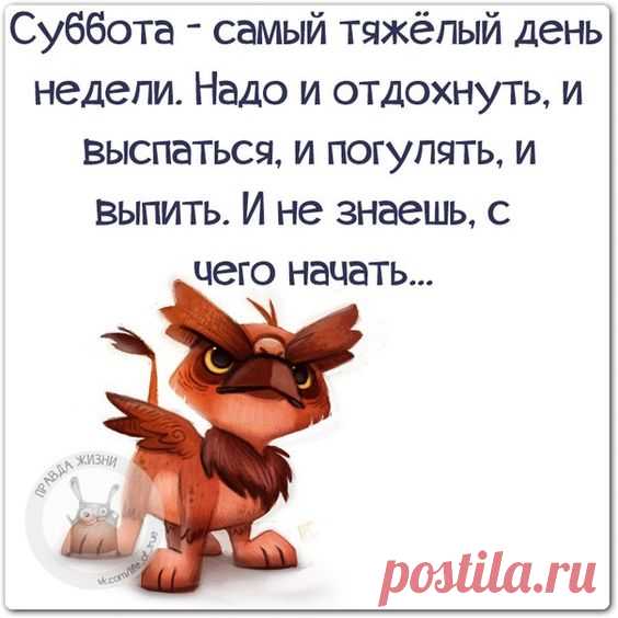 (849) Pinterest