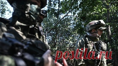 ВС России нашли подвал с десятками тел боевиков ВСУ в ходе зачистки Искры. Российские военные обнаружили десятки тел солдат ВСУ в подвале одного из домов в Искре. Читать далее