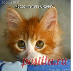 Apskatīt ziņojumu - Inbox Mail