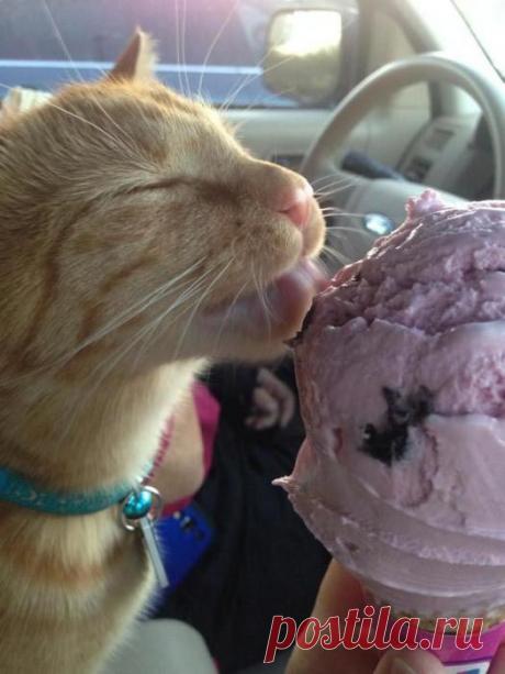 Мороженое - на десерт