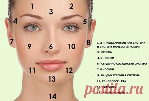 Карта высыпаний на лице: состояние твоей кожи напрямую зависит от работы внутренних органов!