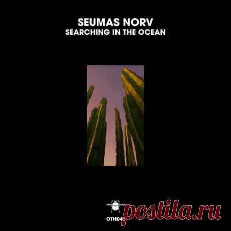 Seumas Norv - Searching in the Ocean [otherworld]