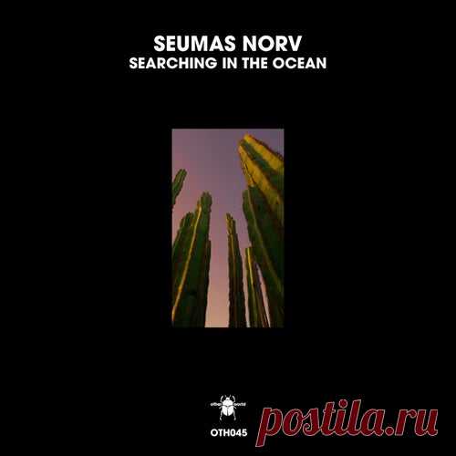 Seumas Norv - Searching in the Ocean [otherworld]
