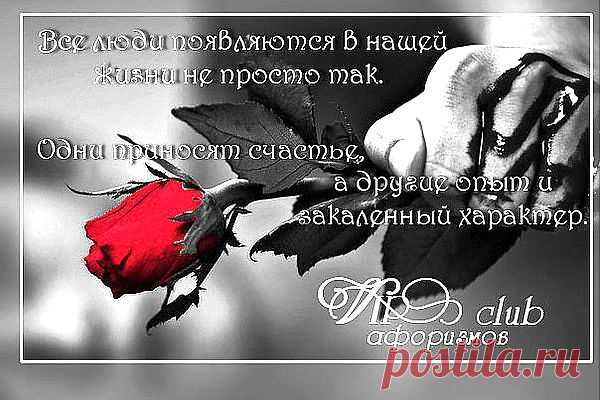 Интересные новости