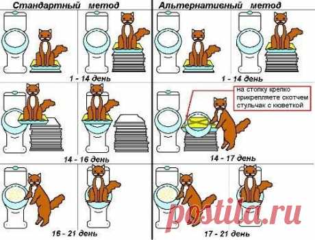 ДОМ И В НЕМ | Записи в рубрике ДОМ И В НЕМ | Дневник Belenaya