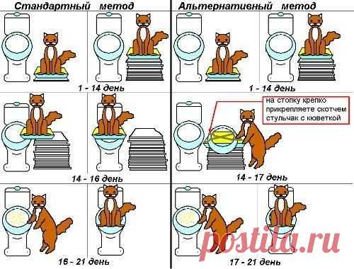 ДОМ И В НЕМ | Записи в рубрике ДОМ И В НЕМ | Дневник Belenaya