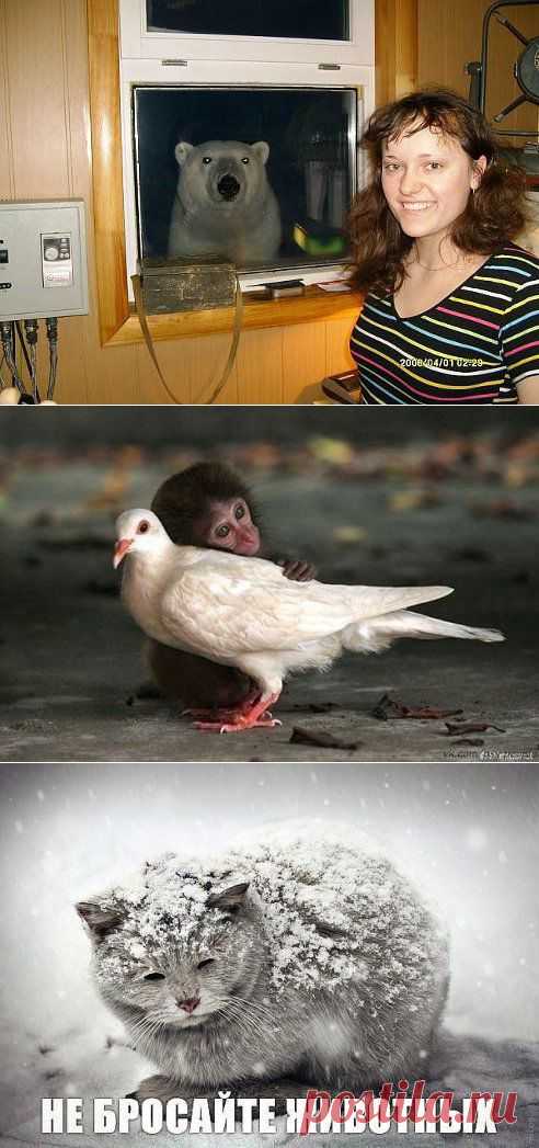 Одноклассники
