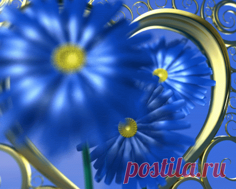 14566907.gif (720×576)