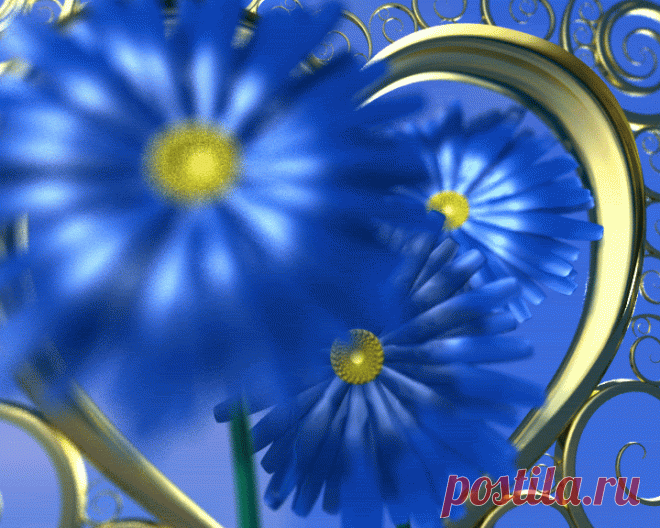 14566907.gif (720×576)