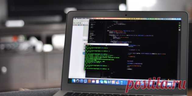 Веб-разработка: как освоить перспективную профессию - Лайфхакер