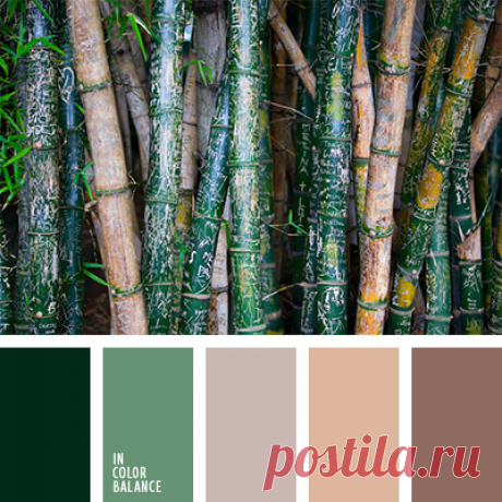 Цветы, деревья — источник вдохновения! | BepHuK собирает друзей