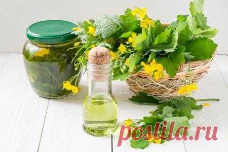Все о чистотеле. Рецепты народной медицины