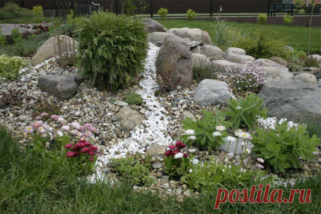 Домашние растения: Что такое альпинарий и как его создать