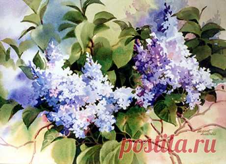 Dillman's Creative Art Workshops - 2010 - Bridget Austin - Fine Tune Your Watercolor