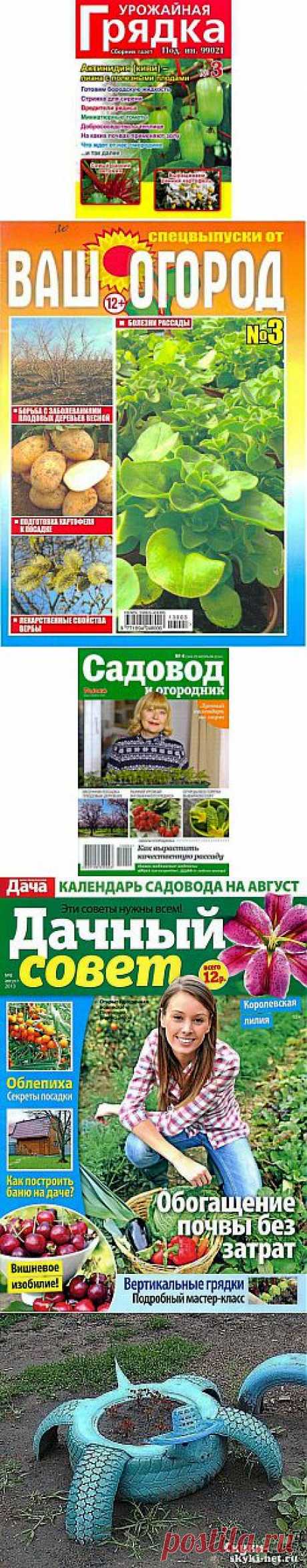 -сад-огород | Записи в рубрике -сад-огород | Дневник ГалаНика