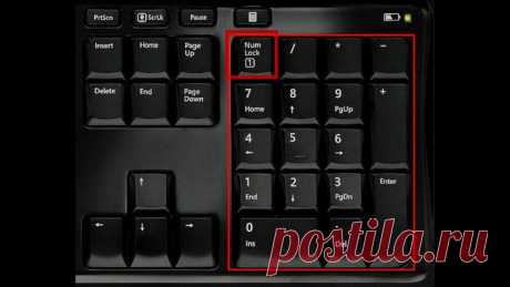 Что это такое Num Lock на клавиатуре: как появилась