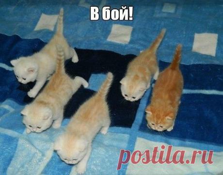 Интересные новости