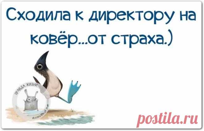 1445168764_wyddyo-d7fc.jpg (1024×658)