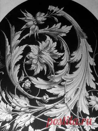 ~ ~ ~ A C A N T H U S ~ ~ ~

АКАНТ (лат. Acanthus от греч. a-kamptos — негибкий, akantha — 