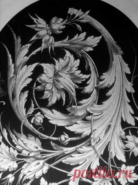~ ~ ~ A C A N T H U S ~ ~ ~

АКАНТ (лат. Acanthus от греч. a-kamptos — негибкий, akantha — "колючка") — род растений семейства акантовых, произрастающих в районе Средиземноморья. Acanthus spinosus (колючий) имеет узкие, острые, с колючками, листья.

Мотив аканта один из любимых в античном искусстве. Использовался как элемент орнамента архитектурных фризов, карнизов, акротериев, киматиев, наряду с пальметтой — в росписях керамических ваз и торевтике. Происхождение мотива ак...