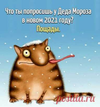 Правильное желание в Новогоднюю ночь