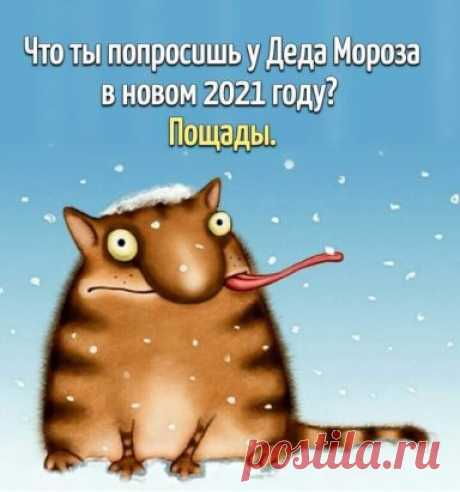 Правильное желание в Новогоднюю ночь