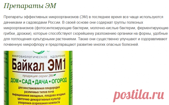 Препараты эффективных микроорганизмов ЭМ