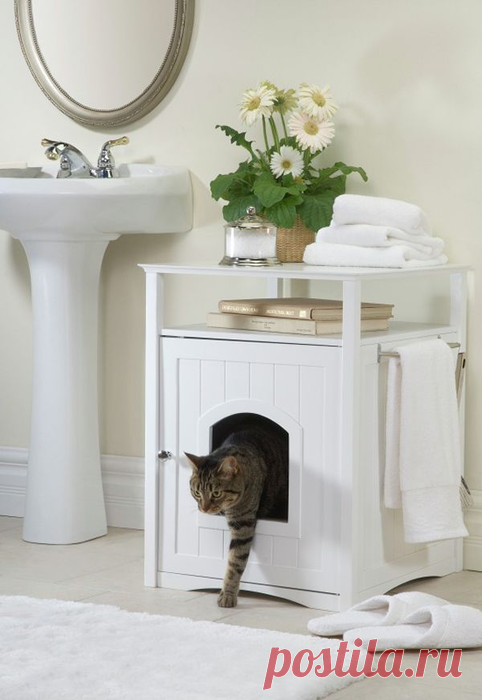 Как своими руками обустроить дом и быт для кошки