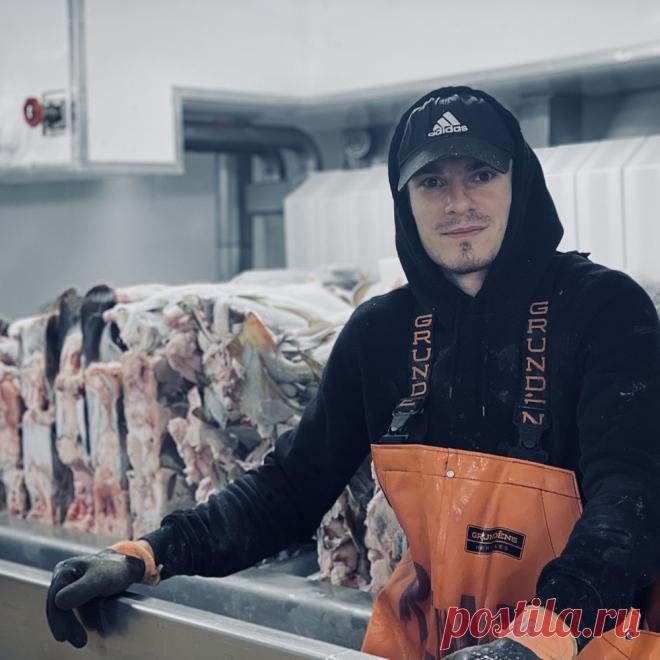 🚢 Онлайн курс и материалы о работе в промысловом флоте Норвегии
💝 От профессионального моряка и дипломированного тралмастера
📚 Полезные уроки 🧠 Инструкции 🚢 Крюинги 📝 Агрегаторы и каталоги