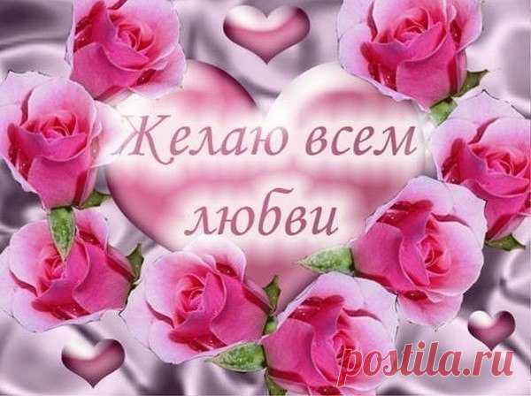 Новые фотографии