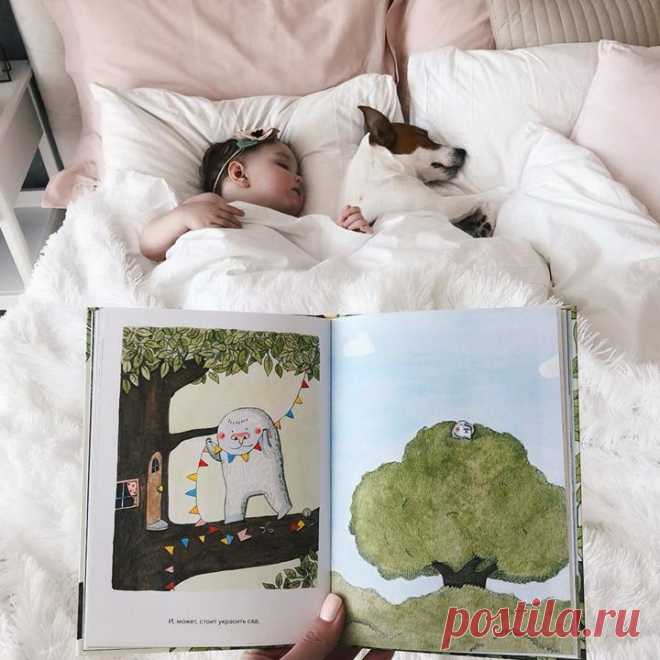"Меня не оставила равнодушной эта добрая книга Марианны Дюбюк «Я не твоя мама» от издательства @mifdetstvo 💛, - рассказывает @talika_home, -Вы только представьте, что проснувшись утром, у дверей своего дома, вы находите непонятное маленькое существо, которое решило что вы его мама...Как вам такая история?😳😧Видимо, с рождением детей, я стала слишком сентиментальна, потому что эту детскую книгу, я читала с замиранием сердца😸🙈 Книга очень красиво и красочно оформлена и иллюстрации, на мой…