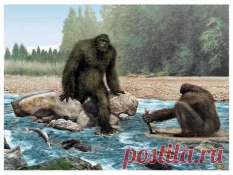 Sasquatch Art
(Изображение JPEG, 543 × 407 пикселов)