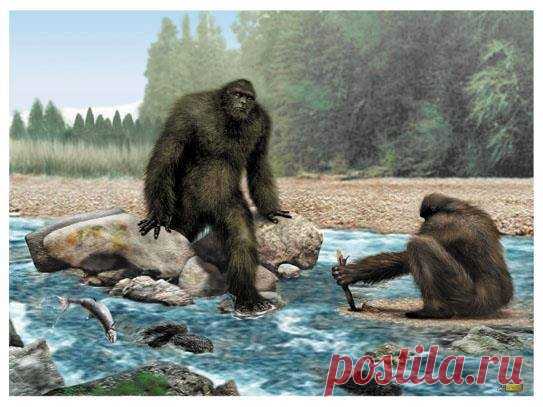 Sasquatch Art
(Изображение JPEG, 543 × 407 пикселов)