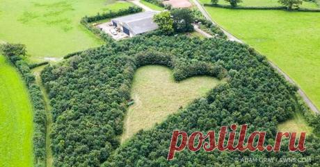 В Англии 70-летний фермер Уинстон Хоуз вырастил на своем поле признание в вечной любви. Его жена Джанет скоропостижно скончалась в возрасте 50 лет. В память о ней влюбленный муж на протяжении недели высадил 6000 саженцев дуба. Через 20 лет романтический труд его любви превратился в дубовую рощу и луг в форме сердца. Внешне эта посадка ничем не отличается от других. Никто не догадывался, что находится внутри густой рощи. Символ любви случайно обнаружили путешественники, пролетавшие на воздушном…