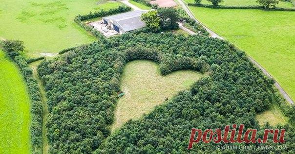 В Англии 70-летний фермер Уинстон Хоуз вырастил на своем поле признание в вечной любви. Его жена Джанет скоропостижно скончалась в возрасте 50 лет. В память о ней влюбленный муж на протяжении недели высадил 6000 саженцев дуба. Через 20 лет романтический труд его любви превратился в дубовую рощу и луг в форме сердца. Внешне эта посадка ничем не отличается от других. Никто не догадывался, что находится внутри густой рощи. Символ любви случайно обнаружили путешественники, пролетавшие на воздушном…