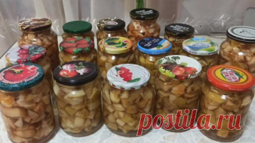 #ЯБЛОКИ ДЛЯ НАЧИНКИ БЕЗ САХАРА И ВАРКИ👍 Храню дома🤗 | Лидия Мартынова | Дзен