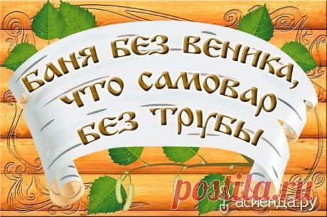 Веник для бани - баня, веник, ветки, вязка, сушка