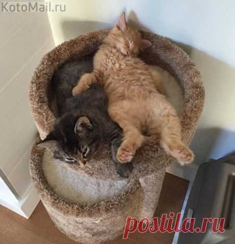 В родном доме