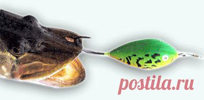 Как сделать «хорватское яйцо» | карась-не дремай ! ! !