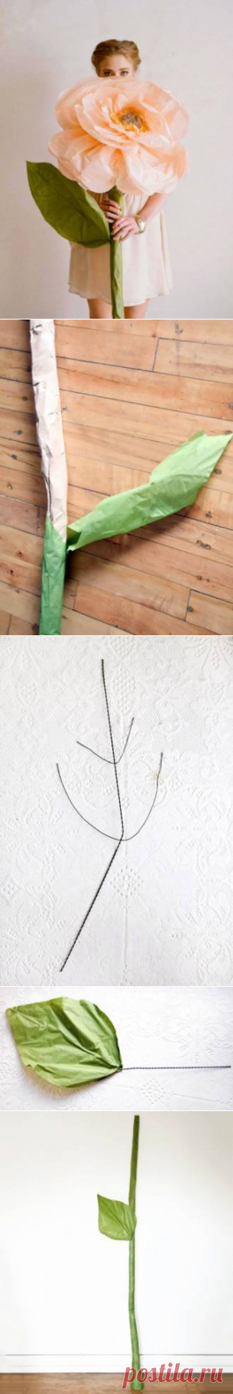 Гигантские цветы | LaChat