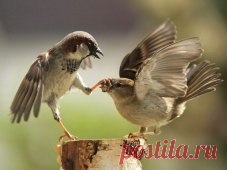 Народные приметы 11 марта и традиции дня в 2019 году