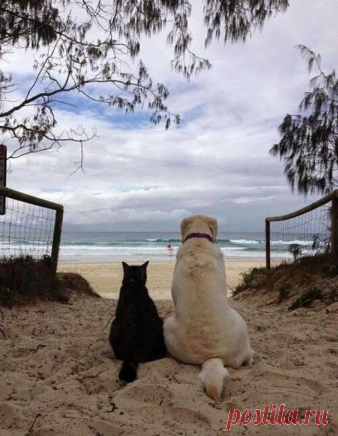 30 тёплых и душевных фотографий, заряжающих добротой и позитивом