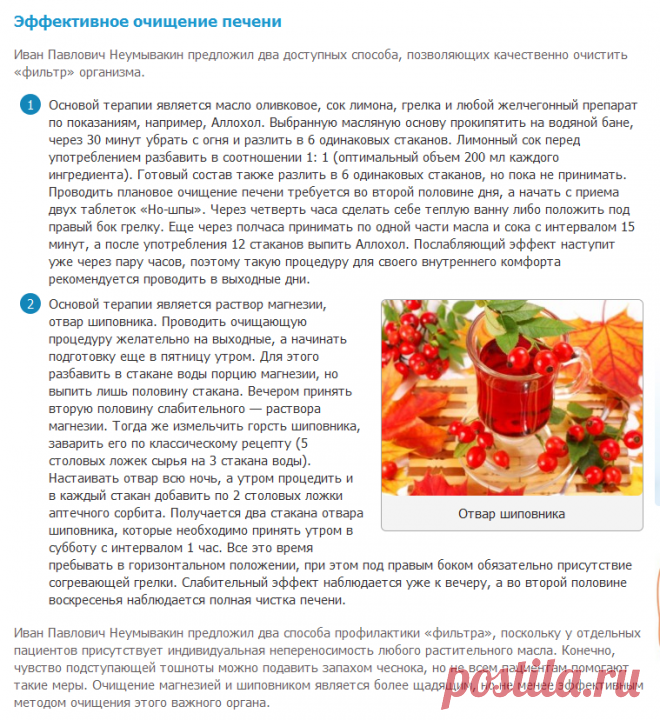 Лечение печени по Неумывакину, чистка печени и почек шиповником от Ивана Павловича