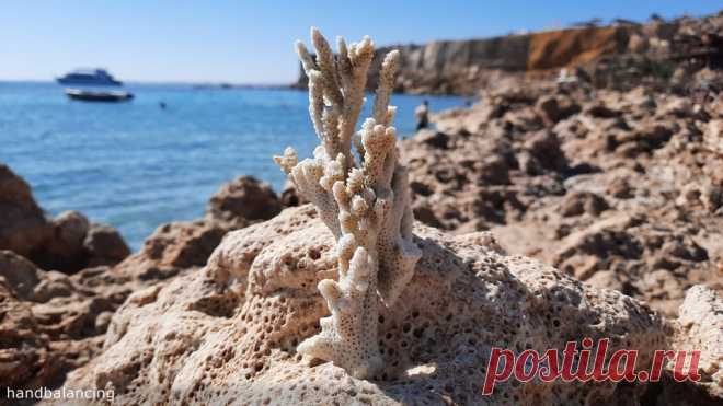 Шарм эль Шейх. Египет