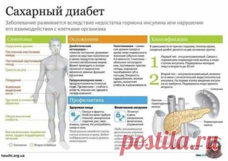 Сахарный диабет - Лечение и профилактика народными средствами.

1. Три белых фасолины замачиваем на ночь в 0.5 стакане холодной кипяченой воды. Утром фасоль съедаем, а воду выпиваем. Это простой, но эффективный рецепт!
2. Берем одну чайную ложечку куркумы на 1 стакан кипяченой воды. Пьем за 1 час до еды или после еды, аналогично используем корицу.
Корицу и куркуму можно чередовать через день, а с утра употреблять фасоль.
3. Взять пять плодов шиповника, измельчить его хорош...